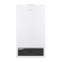 Газовый котёл Haier ProLine S 1.24 ТiW